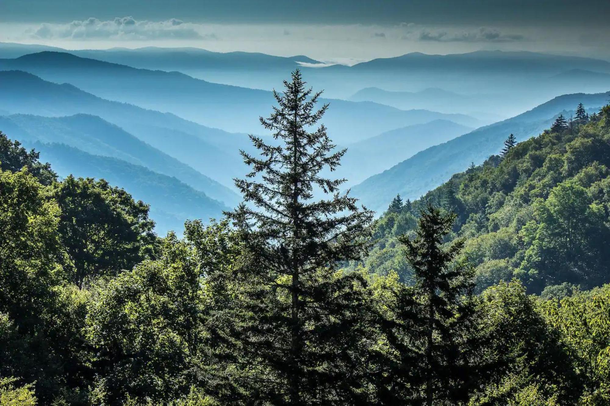 Views 1Br15Bath Pet-Friendly With Hot Tub & Bbq Pigeon Forge Exterior photo