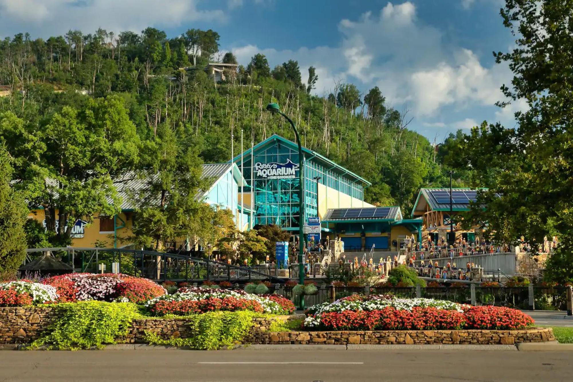 Views 1Br15Bath Pet-Friendly With Hot Tub & Bbq Pigeon Forge Exterior photo